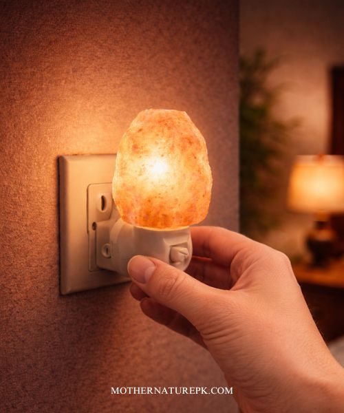 Pink Salt Night Light