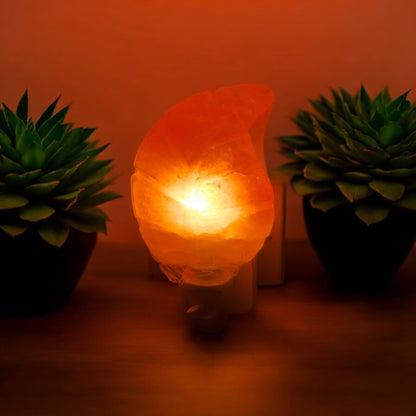 Plug In Salt Night Light