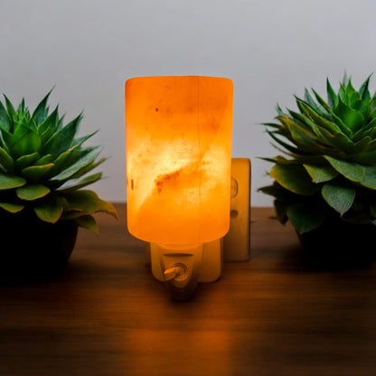 Plug In Salt Night Light