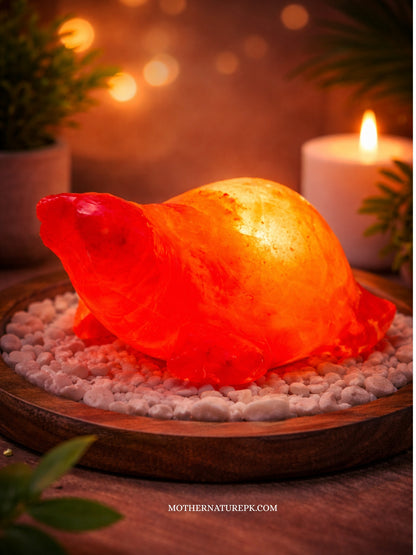 Aesthetic Salt Lamps