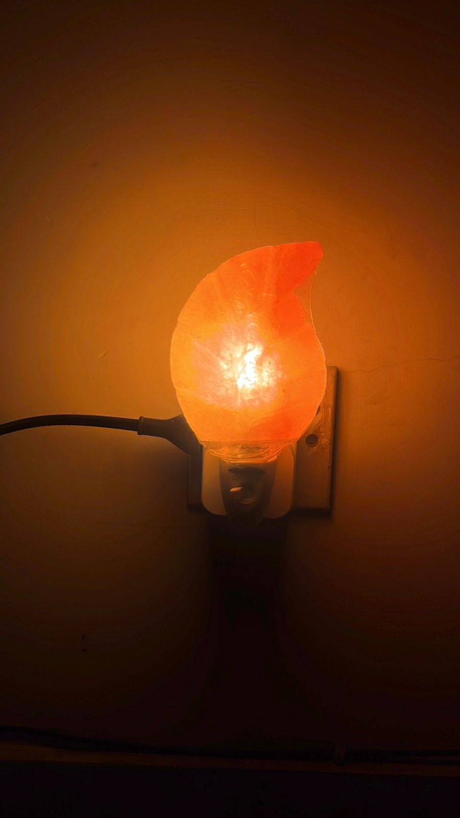 Plug In Salt Night Light