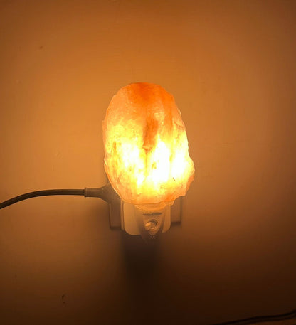 Plug In Salt Night Light